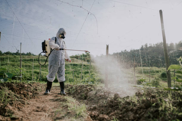 Best Pest Control for Businesses  in Trabuco Nyon, CA
