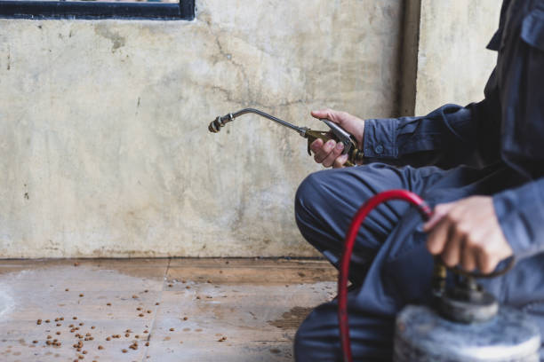 Best Emergency Pest Control  in Trabuco Nyon, CA