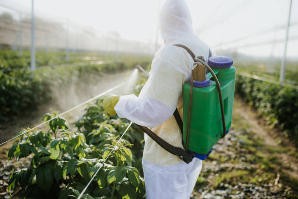 Best Best Pest Control Companies  in Trabuco Nyon, CA